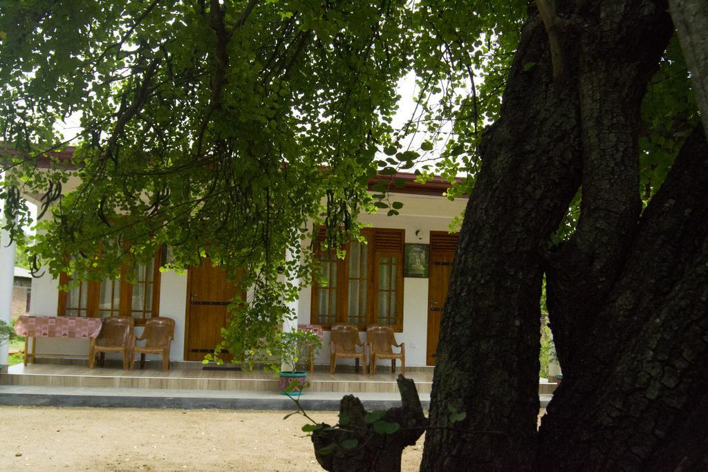 River Nature Park Polonnaruwa Buitenkant foto